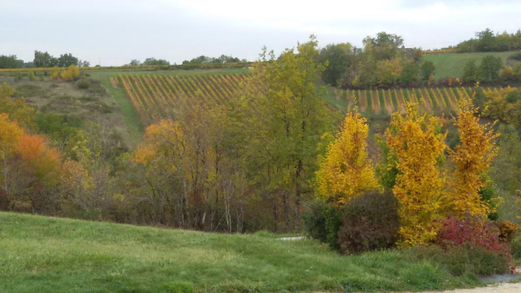Les Hauts D'Albas Albas  الغرفة الصورة