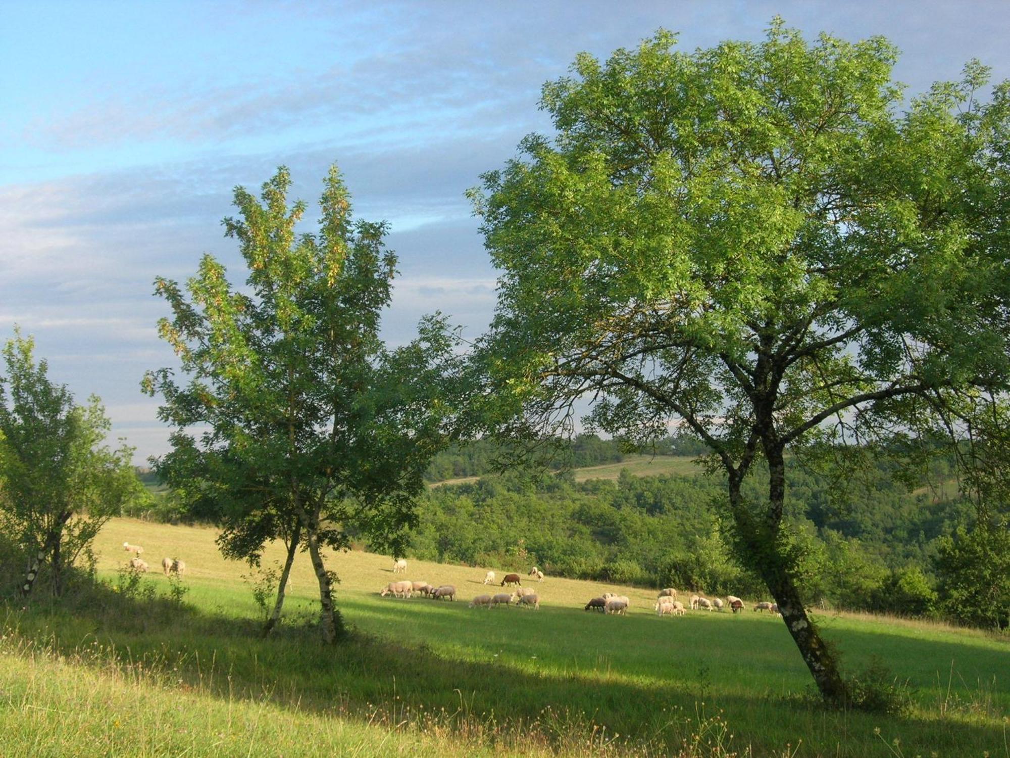 Les Hauts D'Albas Albas  الغرفة الصورة