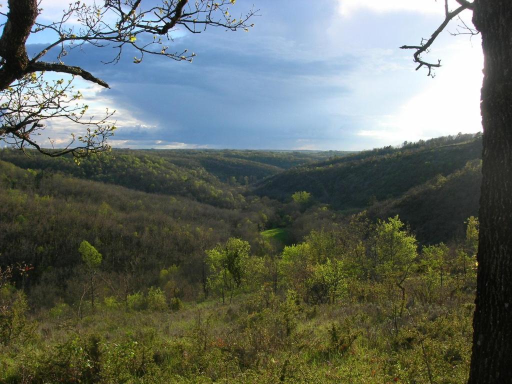 Les Hauts D'Albas Albas  الغرفة الصورة